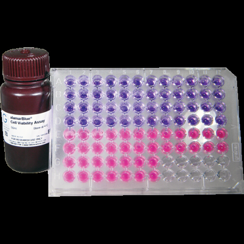 Alamar Blue Cell Viability Assay  Scientific