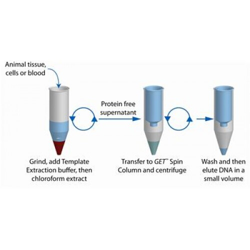 web scientific